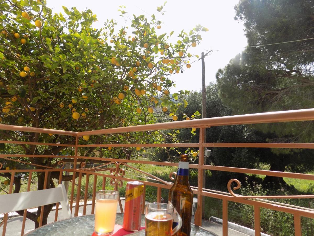 Afrodite Spacious Apartments! Agia Efimia Екстер'єр фото